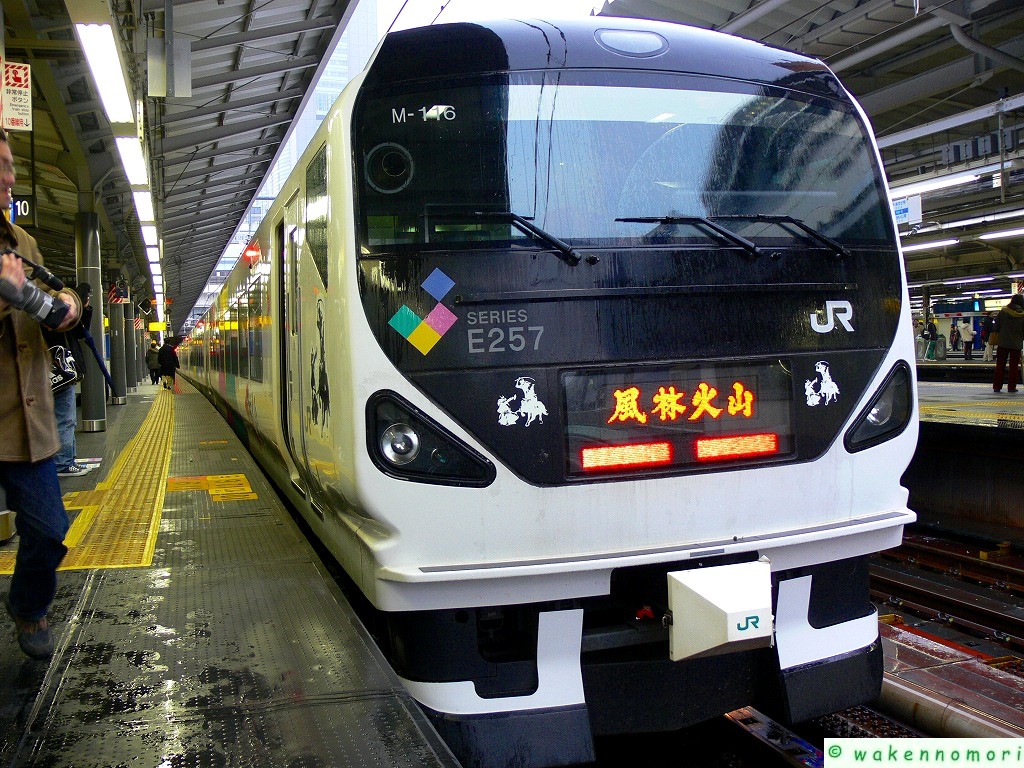 E257系「風林火山」号